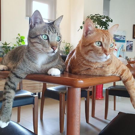 Captain Ou Homestay Huxi Dış mekan fotoğraf